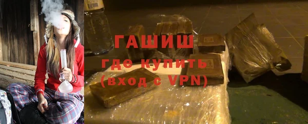 крисы Кулебаки