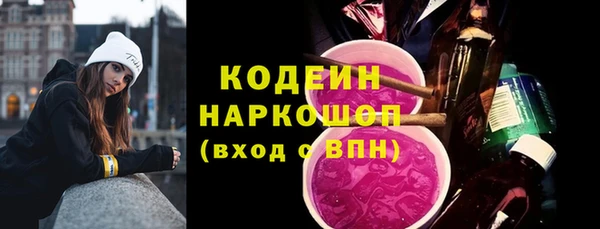 индика Коряжма