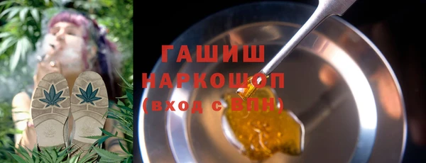 крисы Кулебаки