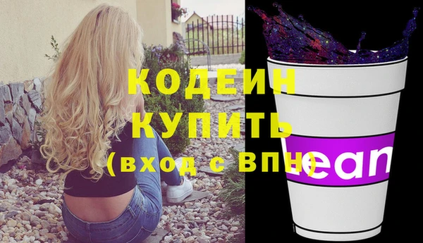 крисы Кулебаки
