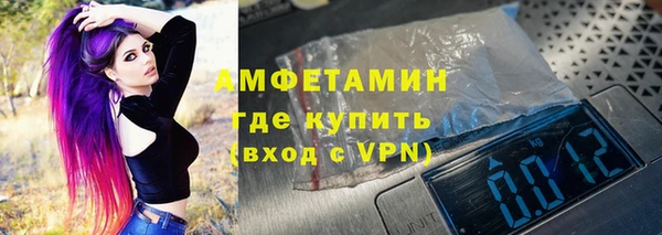 крисы Кулебаки
