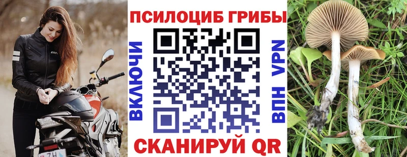 Псилоцибиновые грибы прущие грибы  Феодосия 
