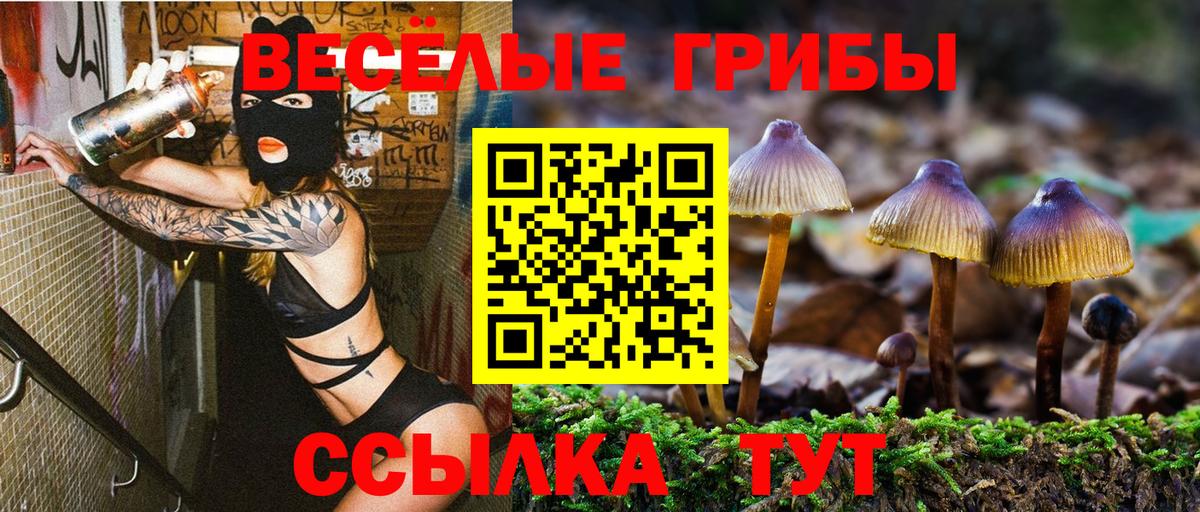 Псилоцибиновые грибы ЛСД Феодосия