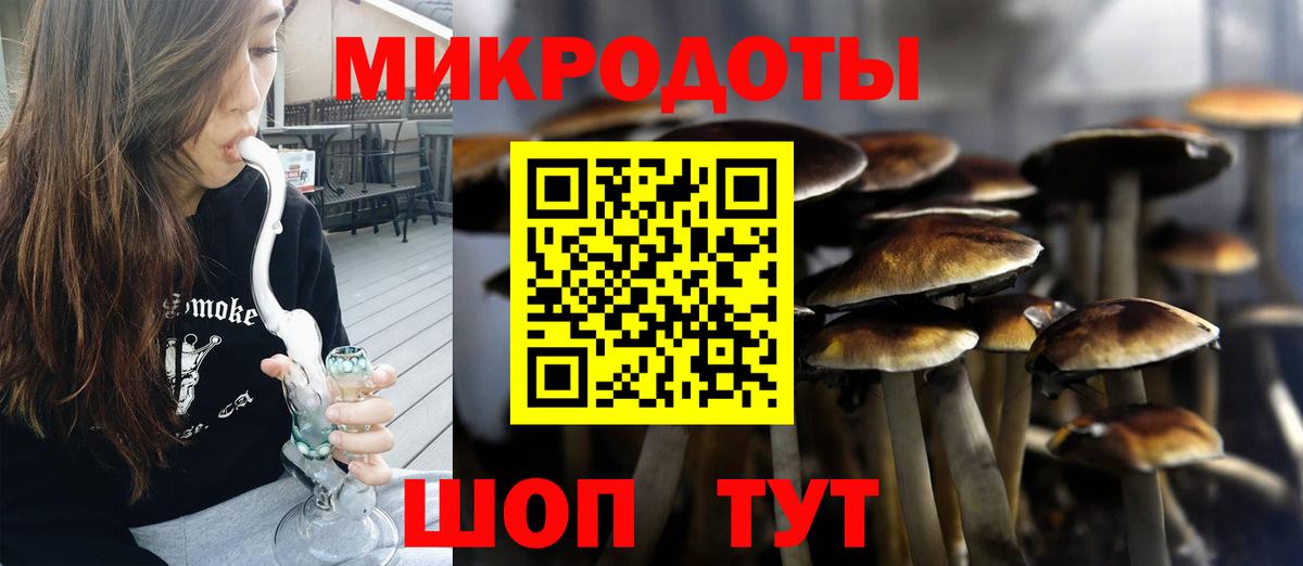 Феодосия  Псилоцибиновые грибы Psilocybe  Псилоцибиновые грибы прущие грибы  Вход с VPN 